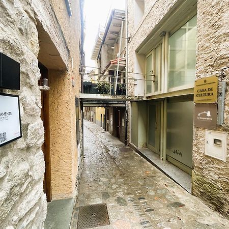 Apartamento Duplex En El Corazon De Camprodon, La Rovira المظهر الخارجي الصورة